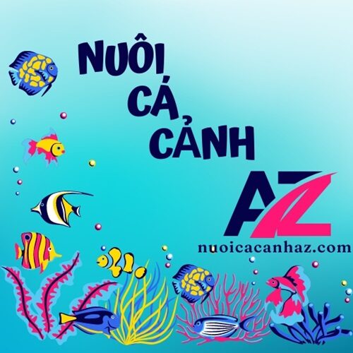 logo-nuoicacanhaz